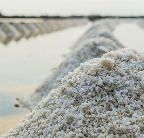 Le sel de l'Île de Ré et le beurre AOP